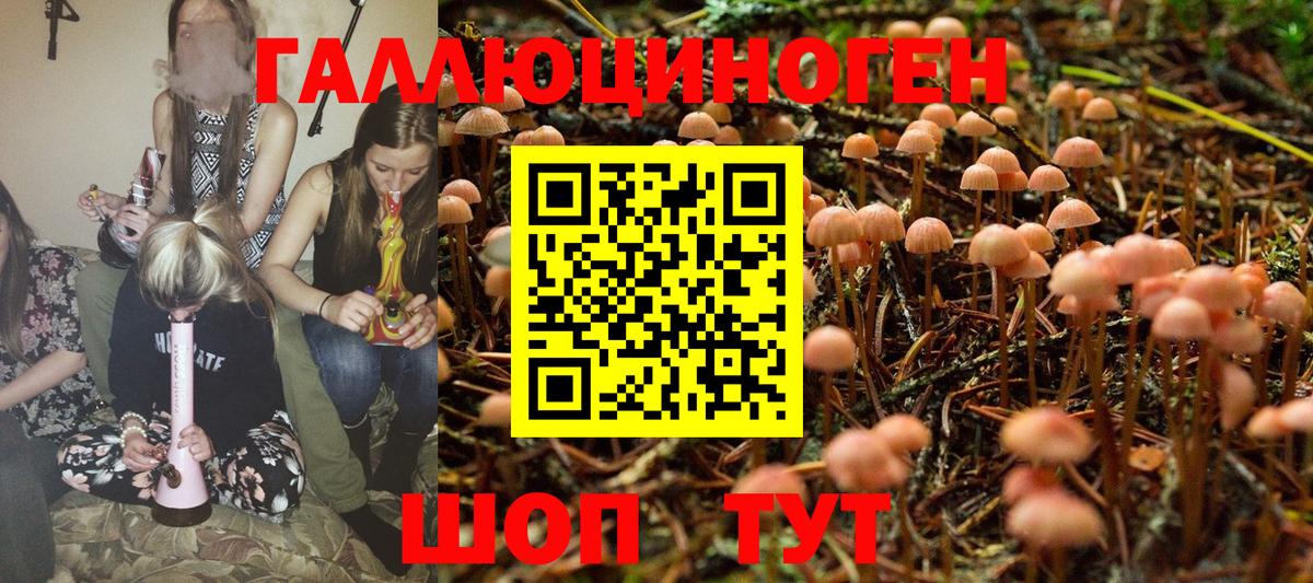 Псилоцибиновые грибы GOLDEN TEACHER Новозыбков