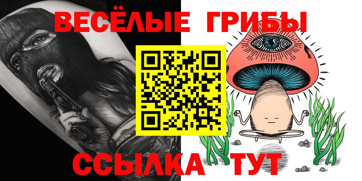 закладки  Галлюциногенные грибы Psilocybe  Вход с VPN  Новозыбков 